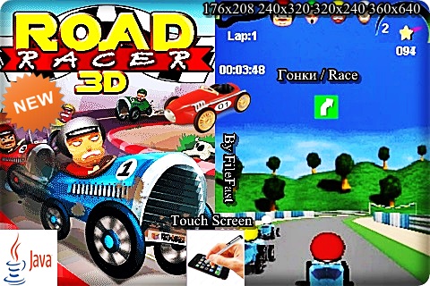 Road Race 3D /    3D