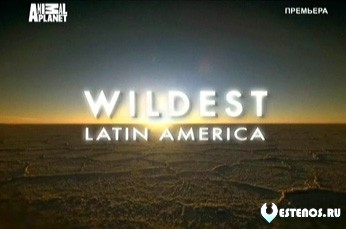 В дебрях Латинской Америки / WiLLDEST Latin America