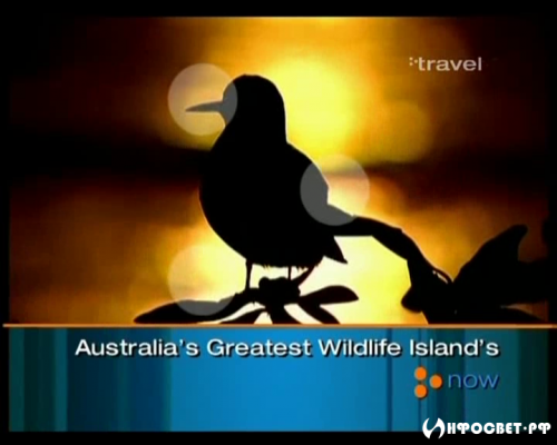 Австралия: Живописные острова / Australia`s Greatest Wildlife Island`s