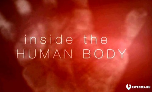 Тайны человеческого тела / Inside the Human Body