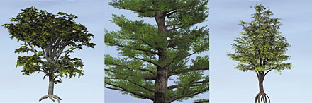 Dosch 3D: Trees & Conifers