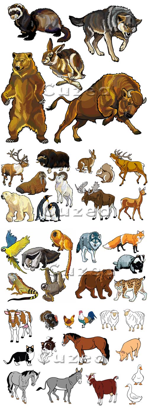      / Wild and house animals in vector
