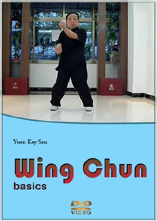 Основы Вин Чюнь / Wing Chun basics (2013) CAMRip