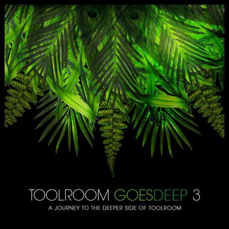 Toolroom Goes Deep 3 (2013)