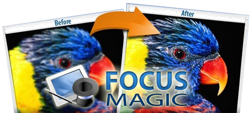 Focus Magic 4.00 Final Rus
