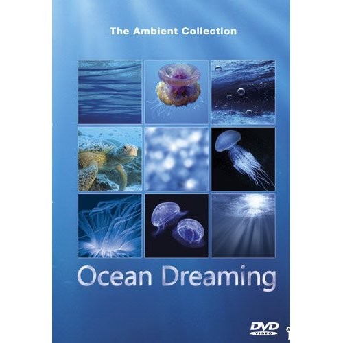 Грёзы океана / Ocean Dreaming