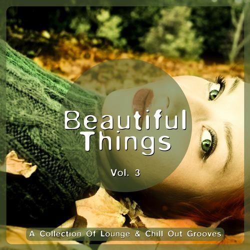 1367737939_beautiful_things_vol._3__a_collection_of_lounge___chill_out_grooves_.jpg