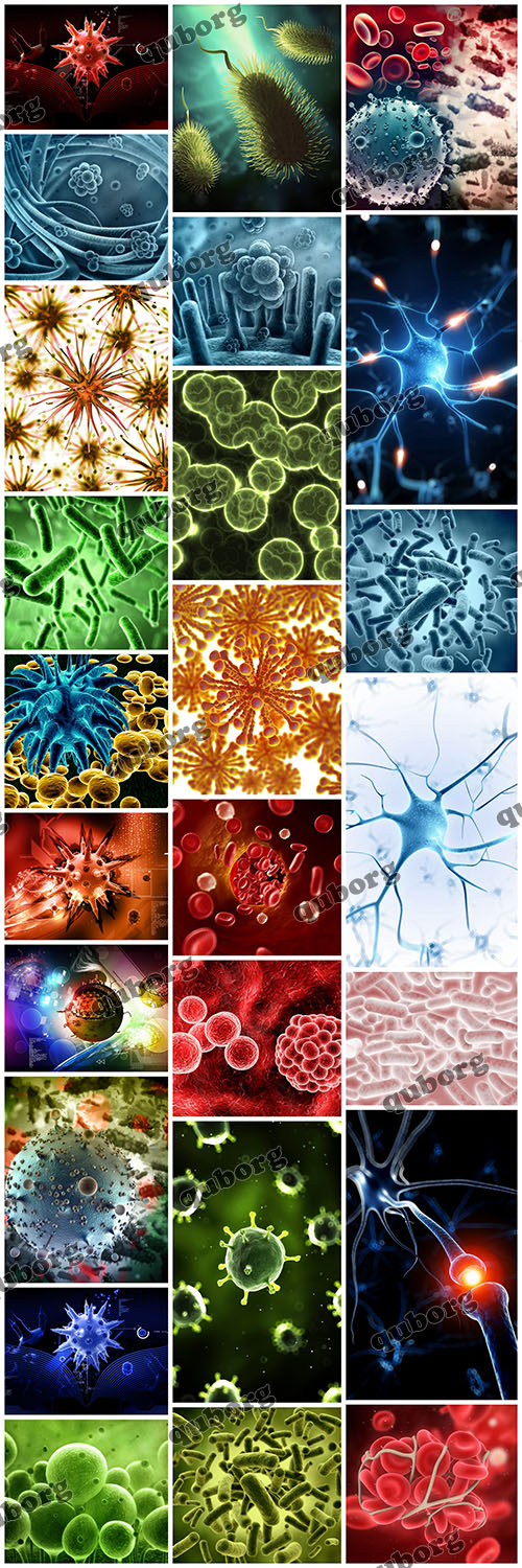 Stock Photos - Organism and Viruses