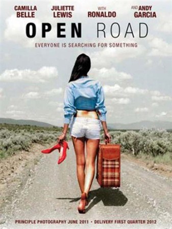 �������� ������ / Open Road (2013) HDRip