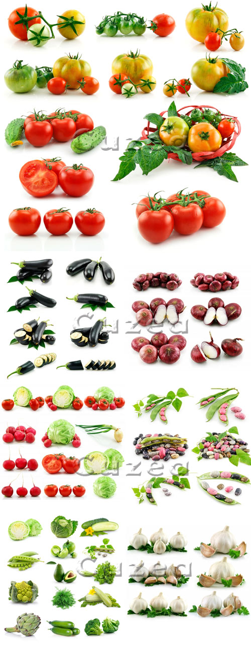    / Vegetables on white background - stock photo