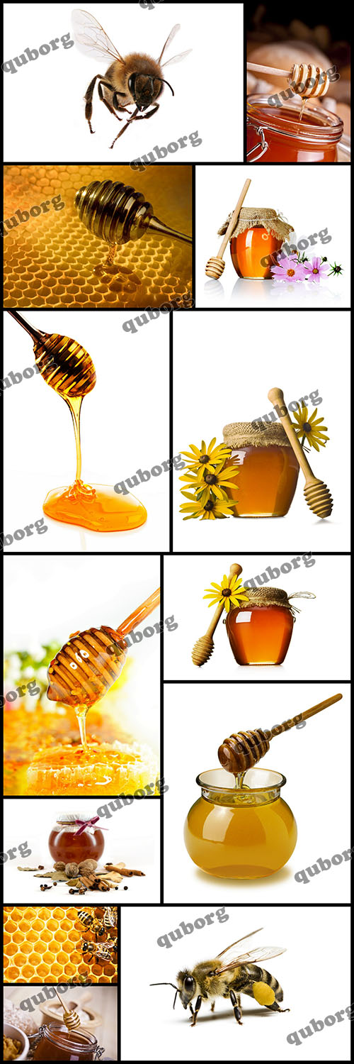 Stock Photos - Honey Isolated on White Background
