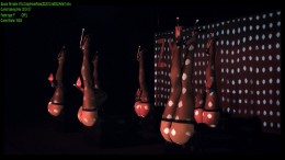    3D / FEU: Crazy Horse Paris (2012) 3D BDRip 1080p