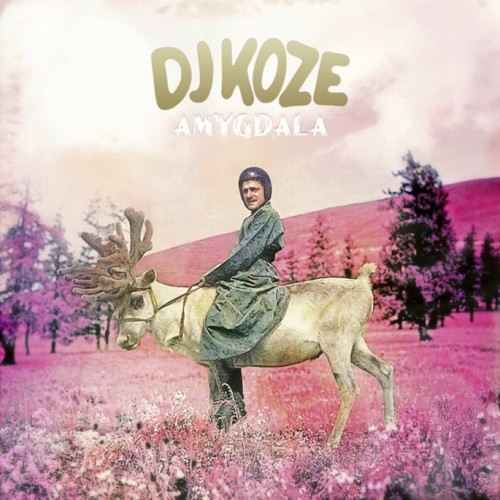 (Deep House, Tech House) [CD] DJ Koze - Amygdala - 2013, FLAC (tracks+.cue), lossless