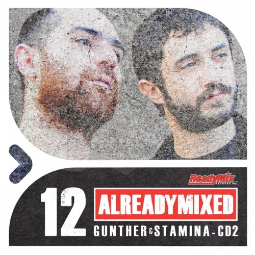 VA - Already Mixed Vol.12 - Cd2 (Compiled & Mixed by Gunther & Stamina) (2013)