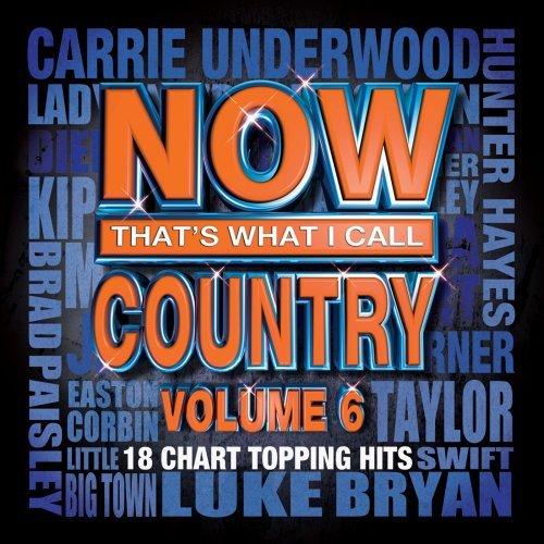 VA - Now That's What I Call Country - vol.6 (2013) FLAC