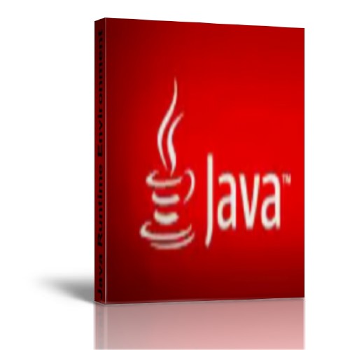Java Runtime Environment 1.7.0.25