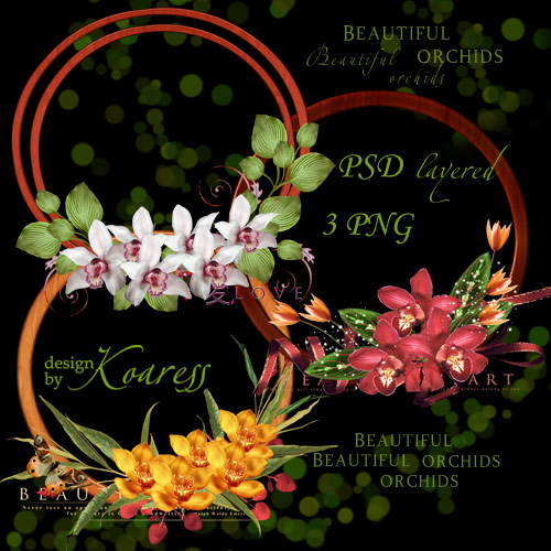 Три рамки-выреза с тропическими орхидеями для фотошопа