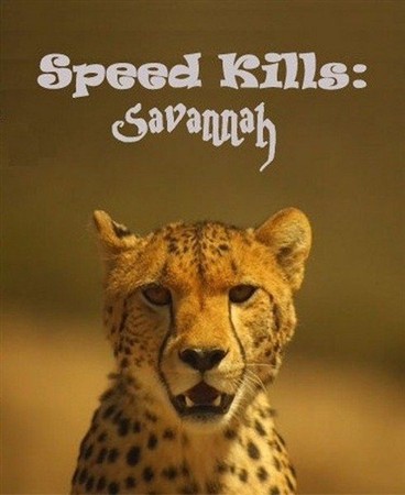 NG. Убийственная скорость: Саванна / Speed Kills: Savannah (2012) HDTV 1080i