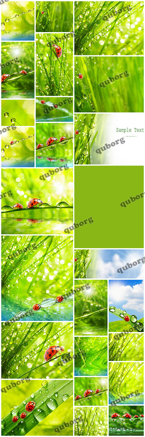 Stock Photos - Drops ON The Nature Part 2