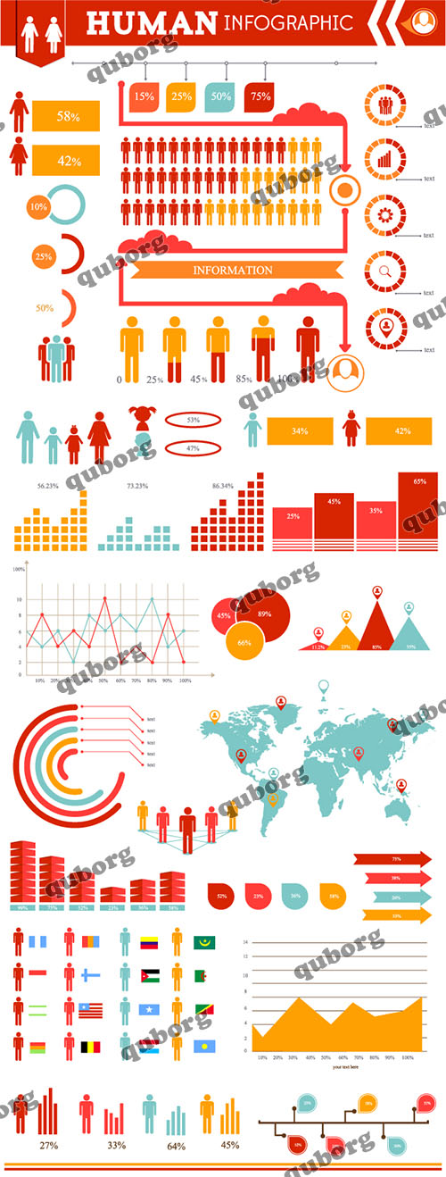 Stock Vector - Human Infographic