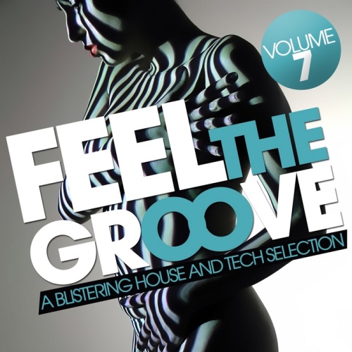 VA - Feel The Groove, Vol 7 (A Blistering House & Tech Selection) (2013)