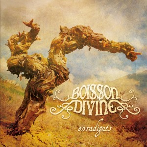 Boisson Divine - Enradigats (2013)