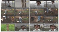 Черешня, вишня, слива. Агротехника косточковых культур (2013) DVDRip