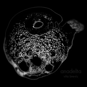 Anadelta - Vita brevis (2013)