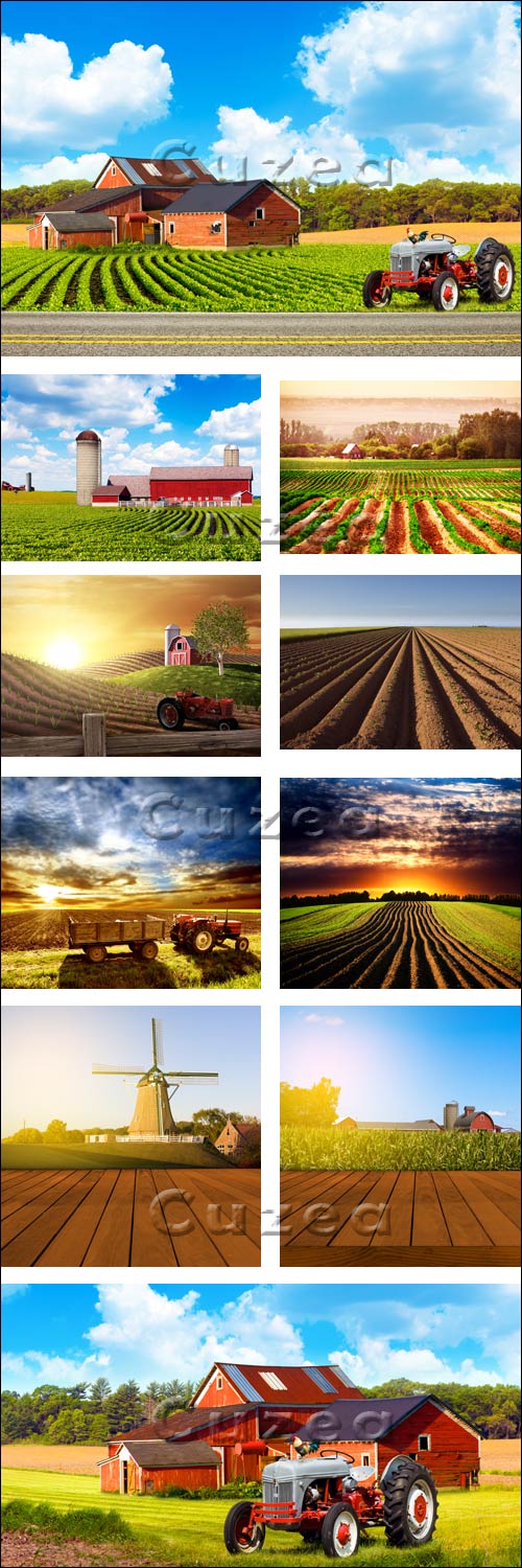   / Agricultural Field - stock photo
