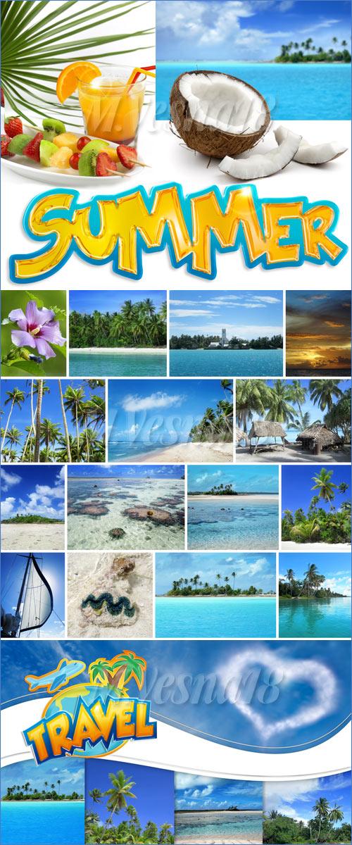       /Tropical summer in the backgrounds and elements - stock photo