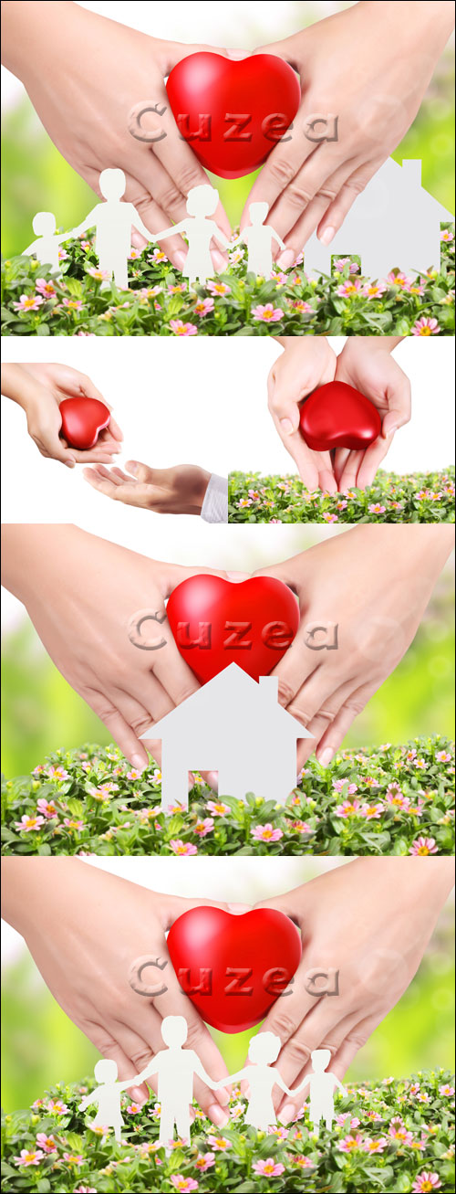    / Heart in a hands - stock photo