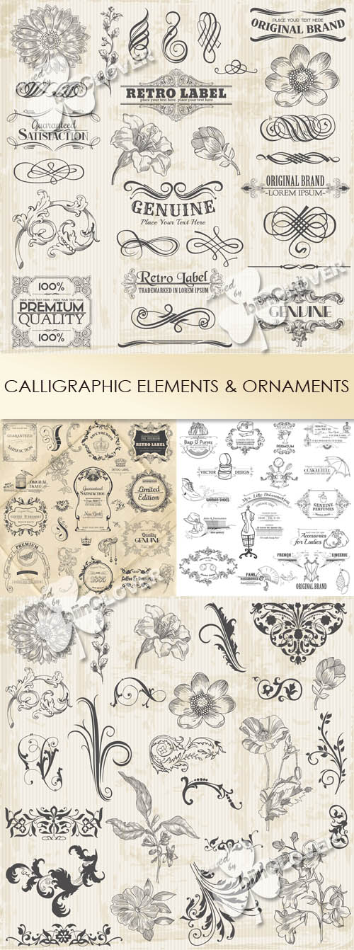 Calligraphic elements and ornaments 0443