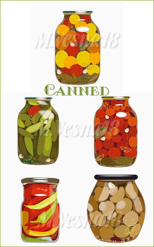    ,   / Canned food on a white background, in the vector