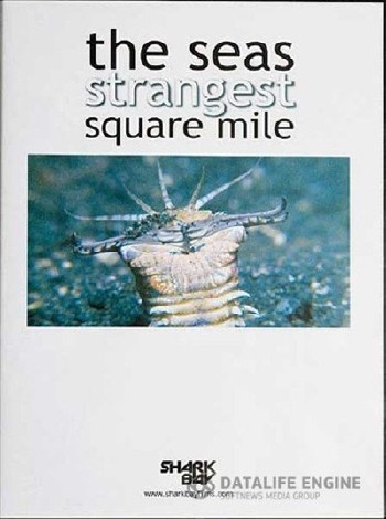 Самое странное место в океане / The Sea's Strangest Square Mile (2011) SATRip