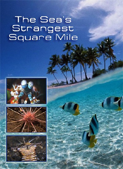 Самое странное место в океане / The Seas Strangest Square Mile (2011) SATRip