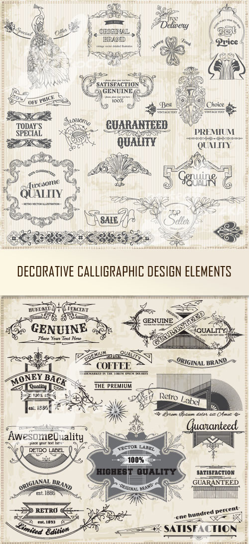 Vectors -Calligraphic design element