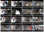 Гнездовье для крольчихи (2013) DVDRip