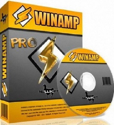 Winamp Pro 5.65 Build 3438 Final Portable by Baltagy (2013)