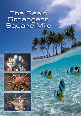 NG. Самое странное место в океане / The Sea's Strangest Square Mile (2011) SATRip