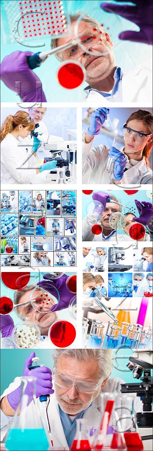     / Life science in laboratory, 8 - stock photo