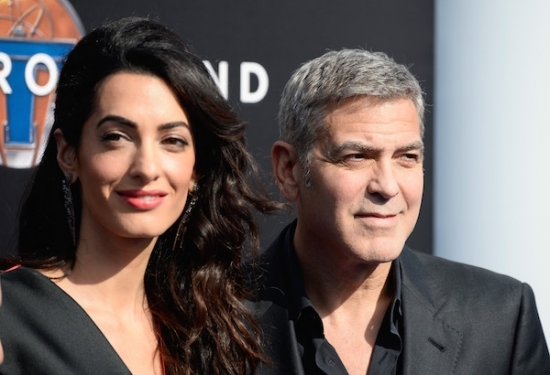 Джордж и Амаль Клуни поступились 10 тысяч долларов на спасение собак