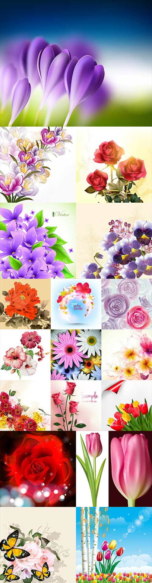 Beautiful vector different flowers