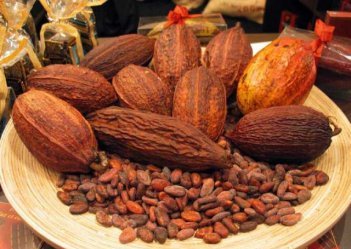 Какао-бобы дорожают самыми бойкими темпами за 5 лет из-за проблем Кот-д'Ивуара