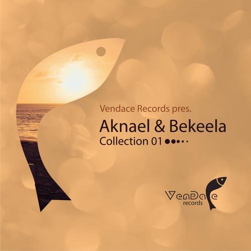 VA - Vendace Records pres. Aknael & Bekeela Collection 01(2013) FLAC